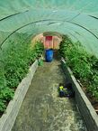 Gartenbereich Werkstatt Ofen