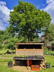 Gartenbereich Werkstatt Ofen