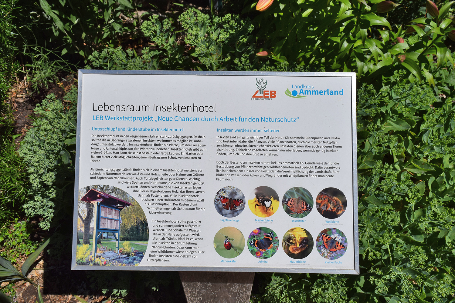 Infotafel zum Insektenhotel
